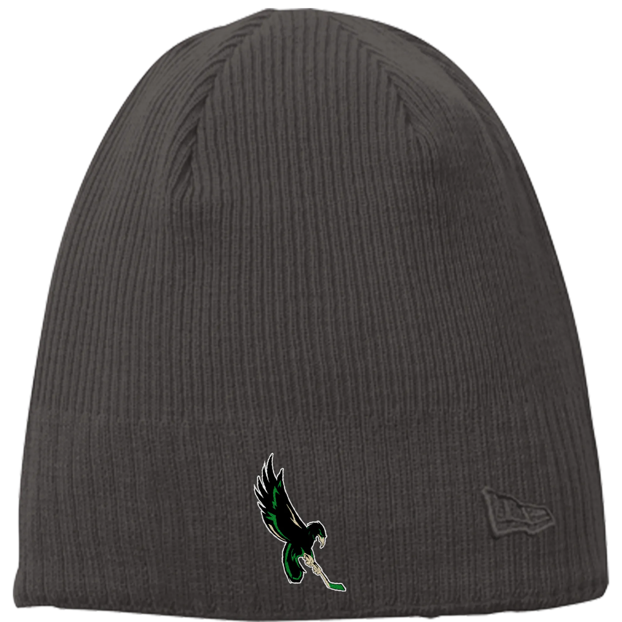 Wilmington Nighthawks New Era Knit Beanie