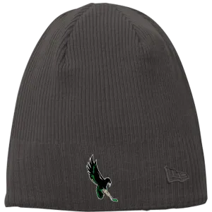 Wilmington Nighthawks New Era Knit Beanie